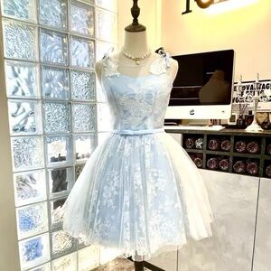Elegant Blue Lace Dress